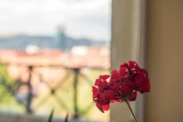 Гостевой дом Terrace House Tbilisi Тбилиси-6